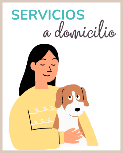 banner servicios